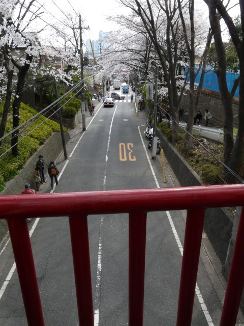 08.3.29桜坂界隈23＿陸橋から桜坂を見下ろす.jpg