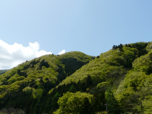 08.5.4大菩薩峠66＿小菅村から観る新緑の山12：28.jpg